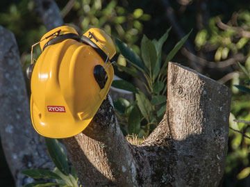 Elagueur grimpeur à Marseille