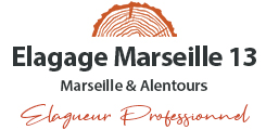 Elagueur à Marseille - Bouches du Rhône 13