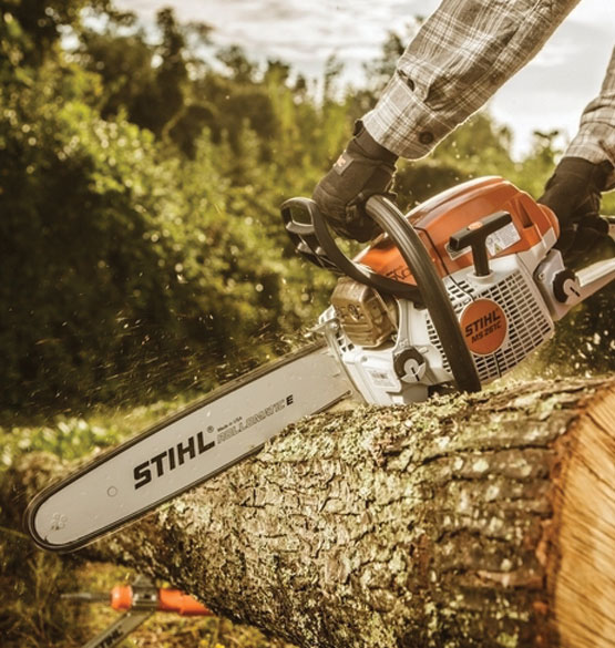 Elagage abattage d'arbres à Marseille